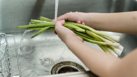 싱크대 배수구가 물비린내는 나는데 배수는 괜찮을 때, 역류가 아닌 환기 문제를 구분하는 체크